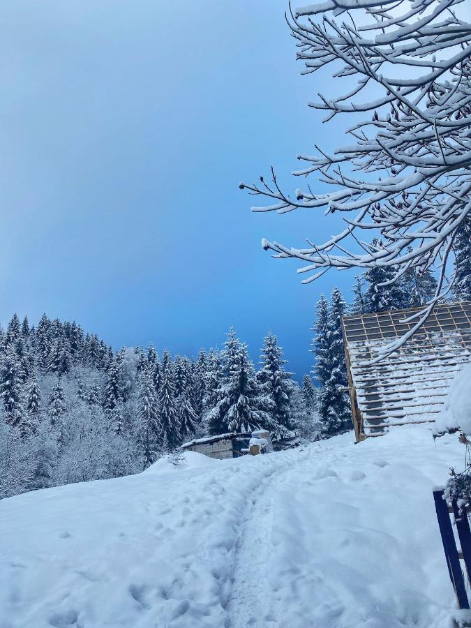 Cabana Green Hill Borşa Екстериор снимка