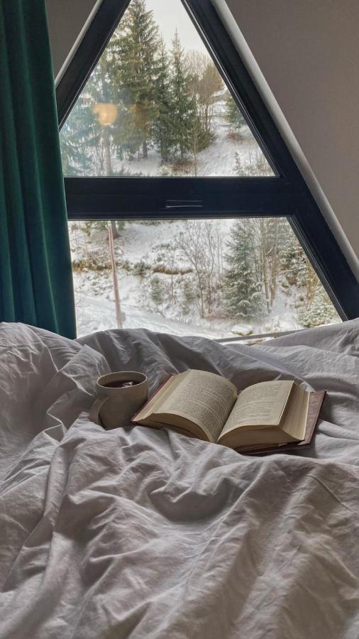 Cabana Green Hill Borşa Екстериор снимка