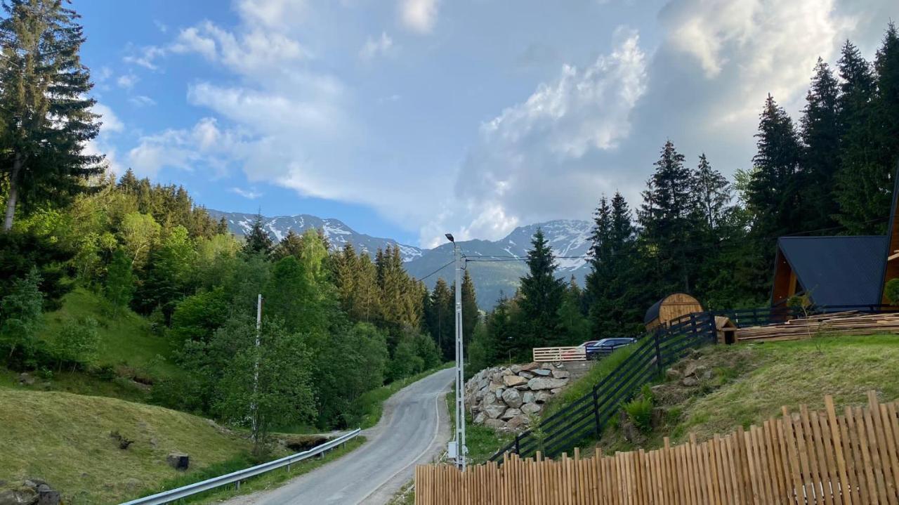 Cabana Green Hill Borşa Екстериор снимка