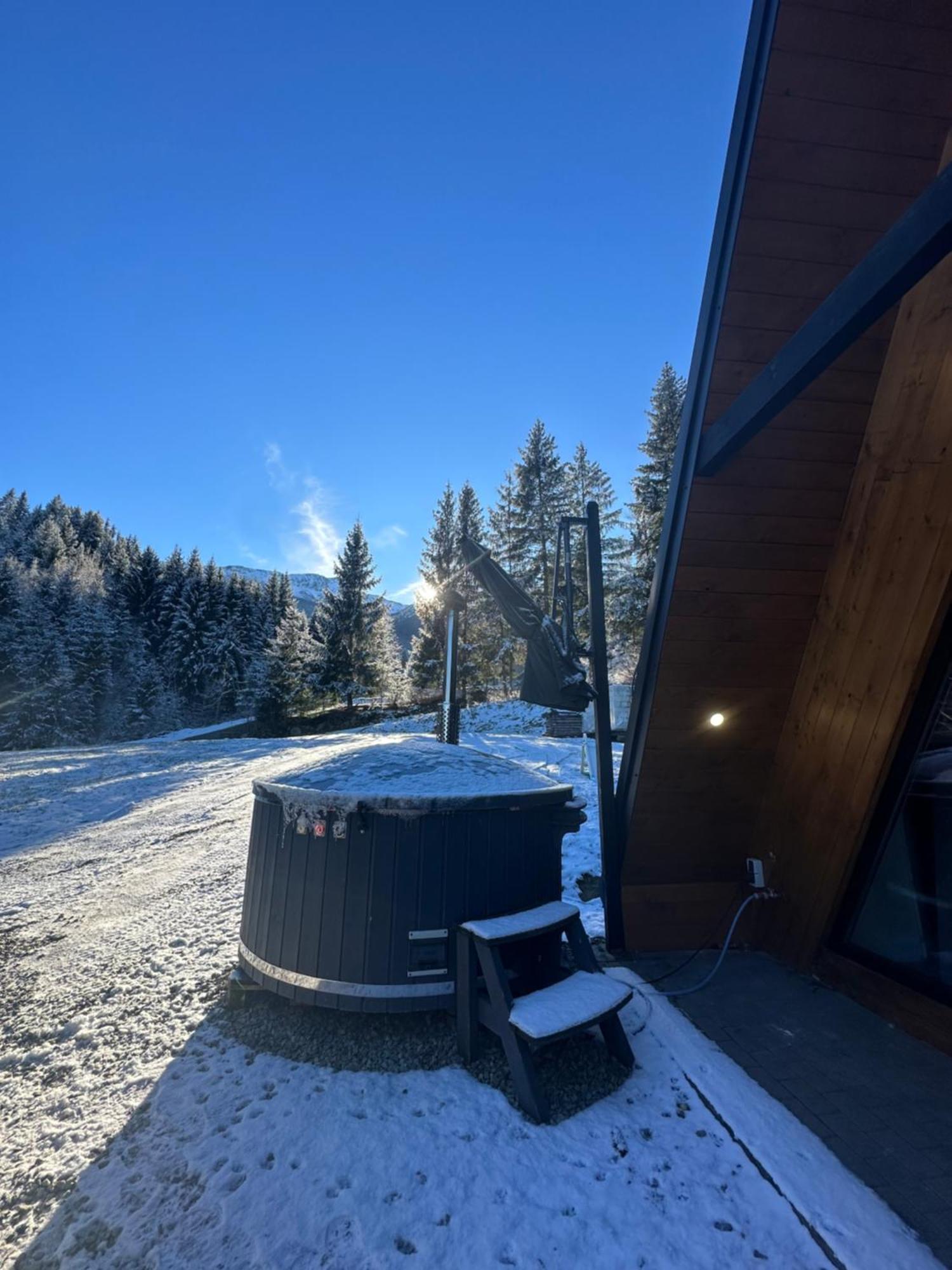 Cabana Green Hill Borşa Екстериор снимка